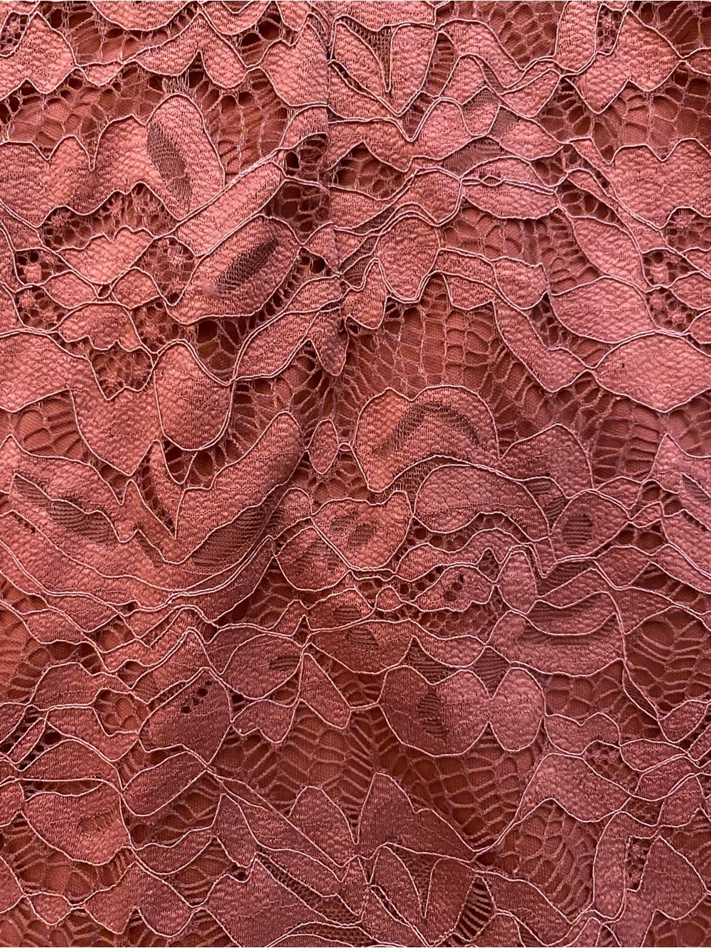iris Rust Lace Sleeveless High-Neck Mini Dress Size Small - Picture 6 of 10
